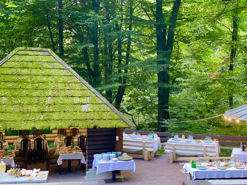 Карпатський ліс біля Поляни
